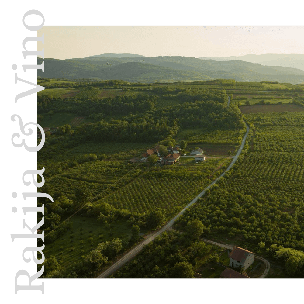 Rakija Vino wien weinfeld (1)