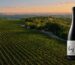 Weingut Frug Serbien