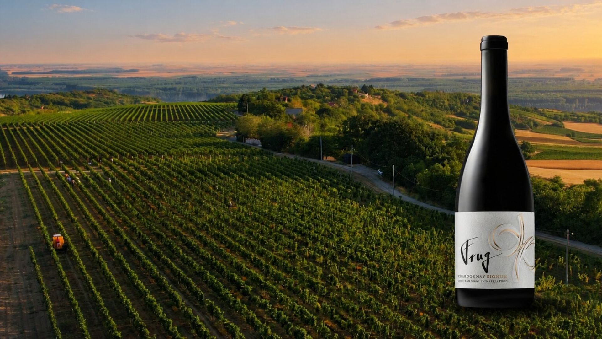 Weingut Frug Serbien