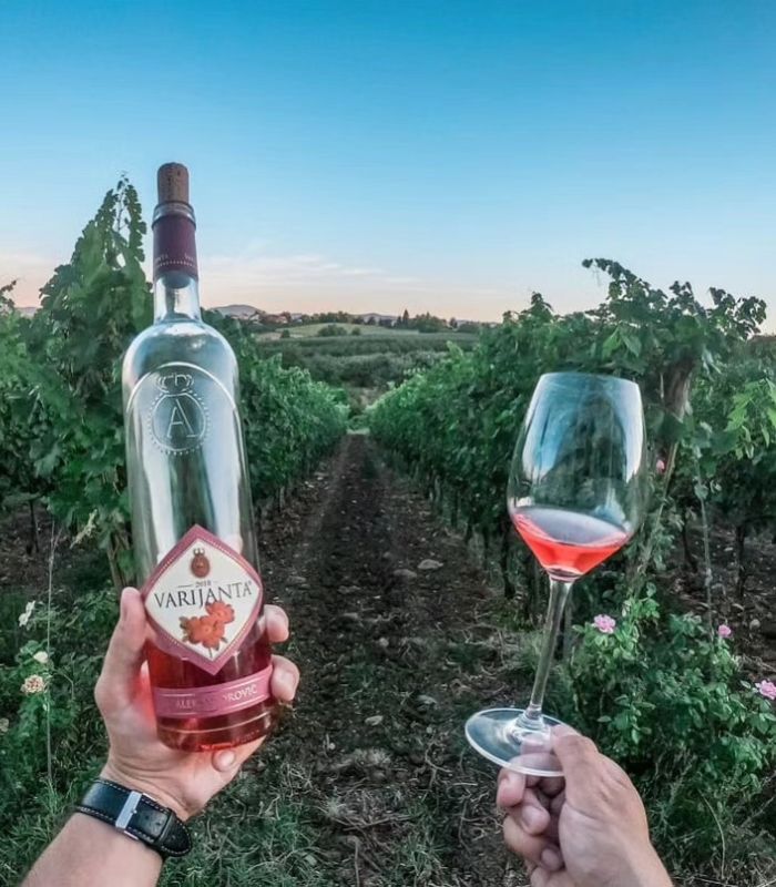 aleksandrovic varijanta rosewein rakija vino