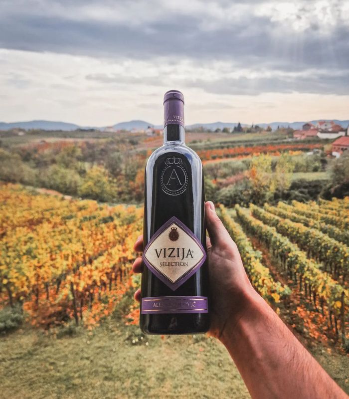aleksandrovic vizija selection rotwein serbien rakija vino