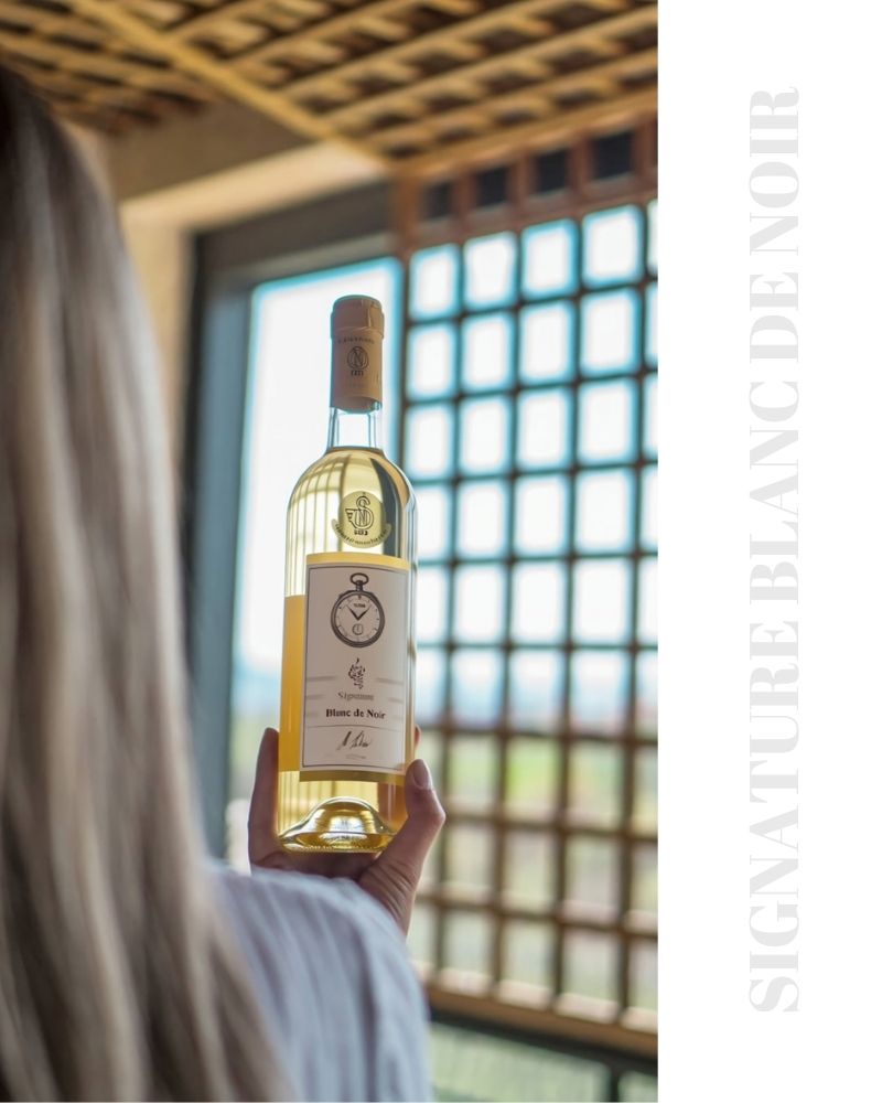 blanc de noir serbien weisswein rakija vino