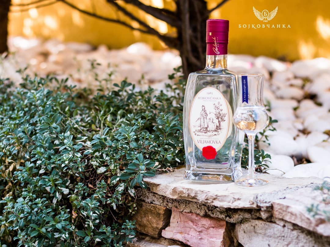 bojkovcanka viljamovka williamsbirne rakija vino 1