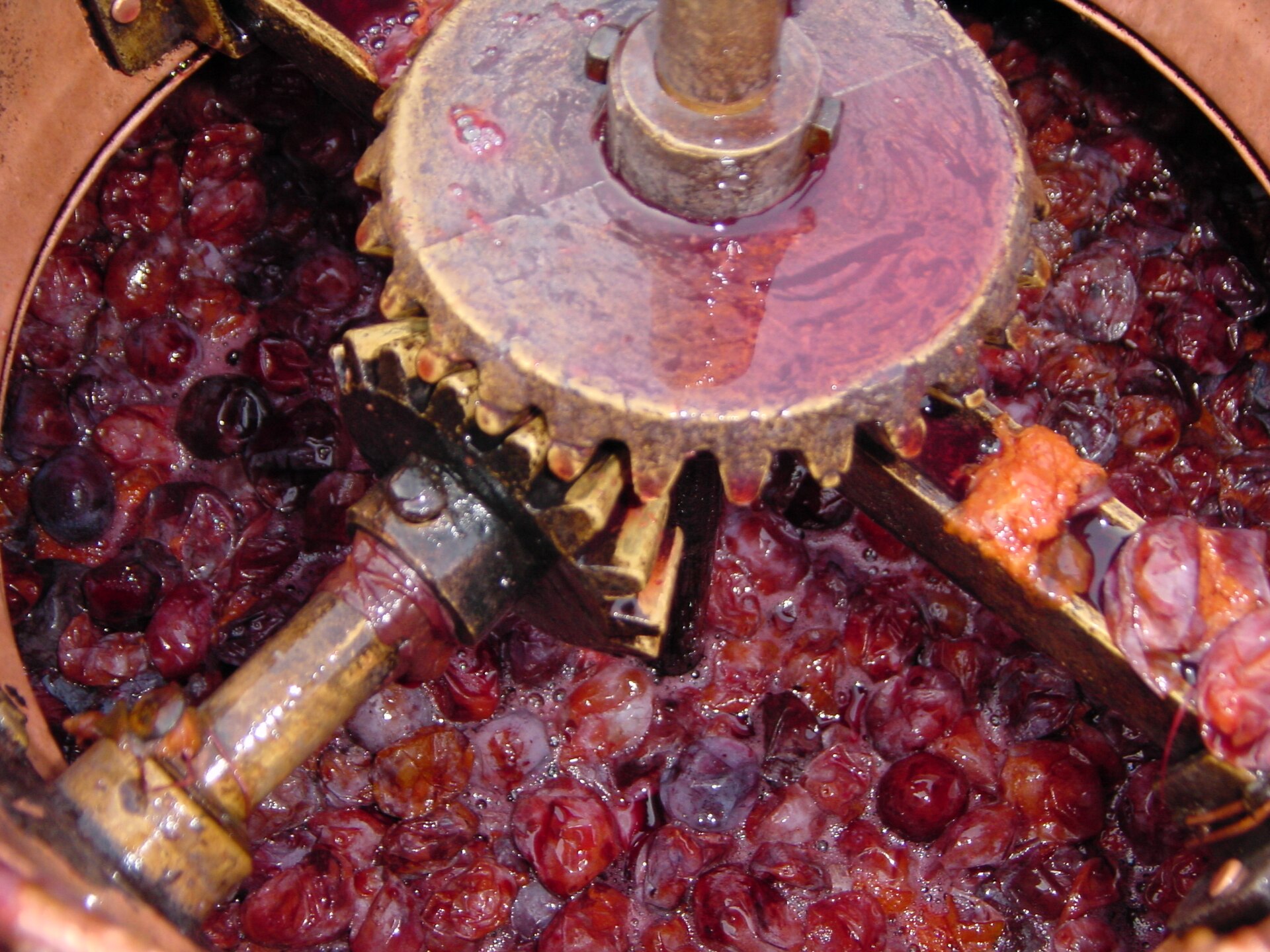 Traditionelle Rakija: Authentische serbische Obstbrände