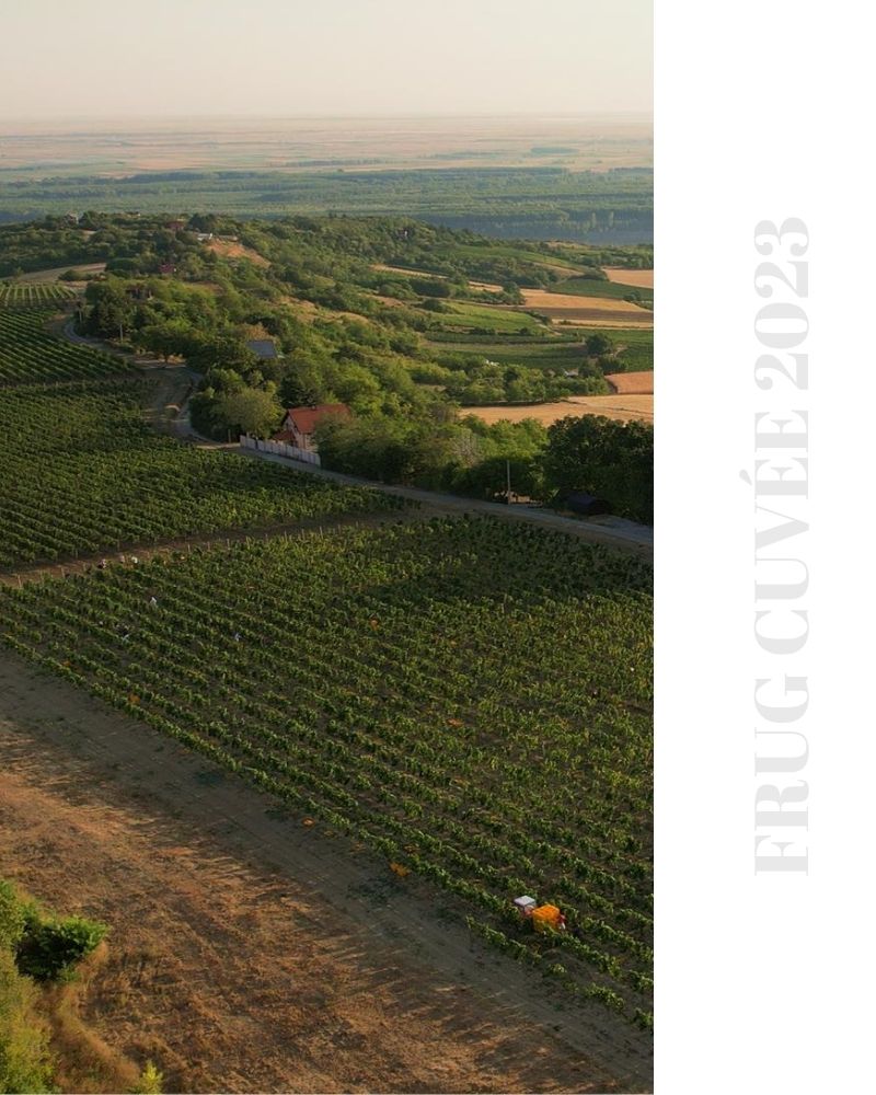 frug cuvee fruska gora rakija vino