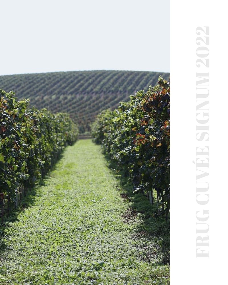 frug cuvee signum fruska gora rakija vino