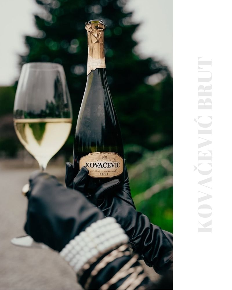 kovačević brut serbischer sekt rakija vino