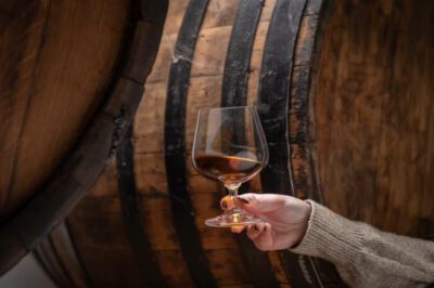 rakija herstellung rakija vino