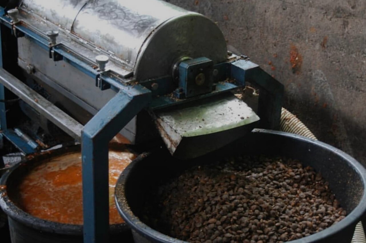 rakija vs grappa vs obstbrand rakija vino wien55