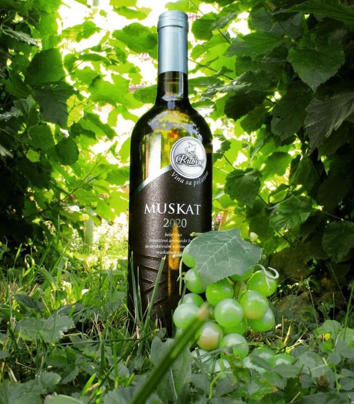 rubin muskat weisswein serbien rakija vino