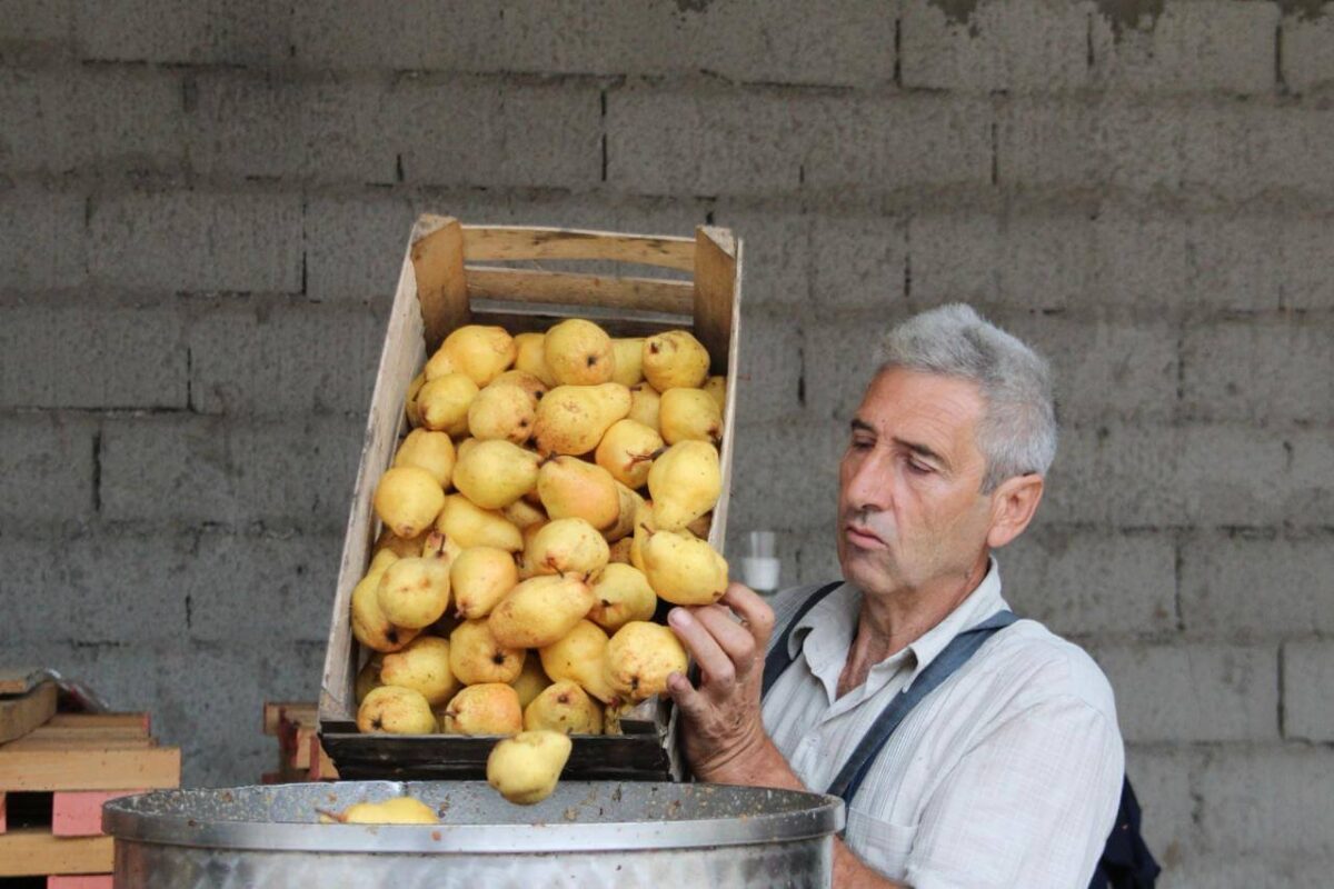 schnaps von rakija vino wien