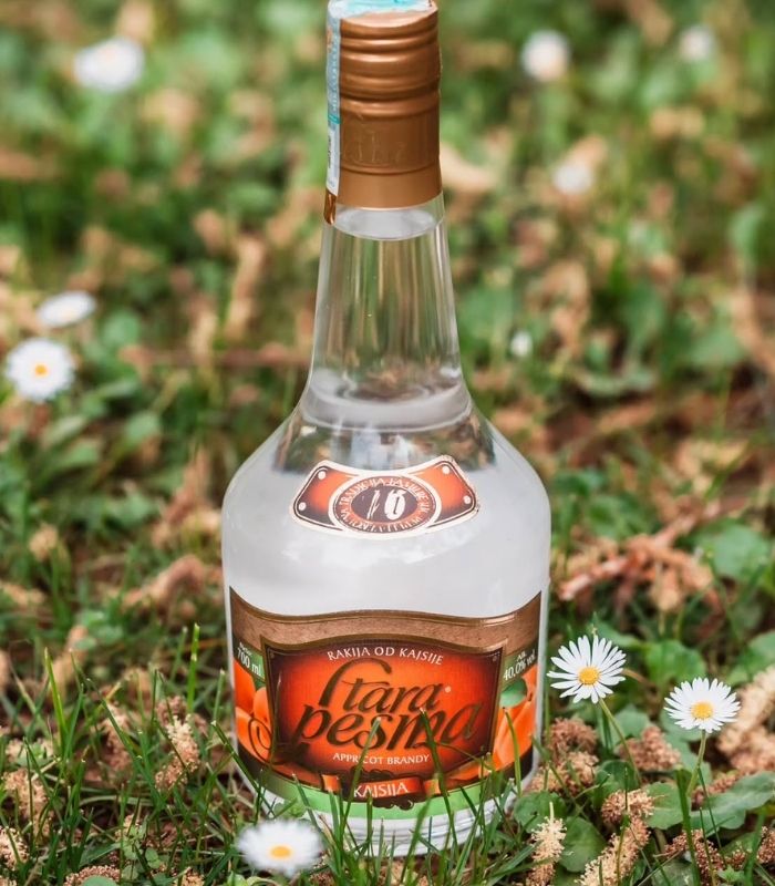 stara pesma kajsija aprikosen rakija vino