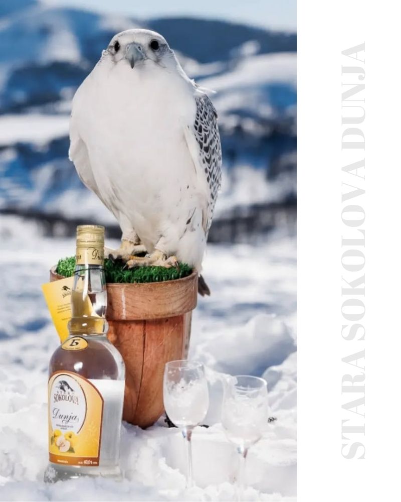 stara sokolova dunja quittenbrand rakija vino