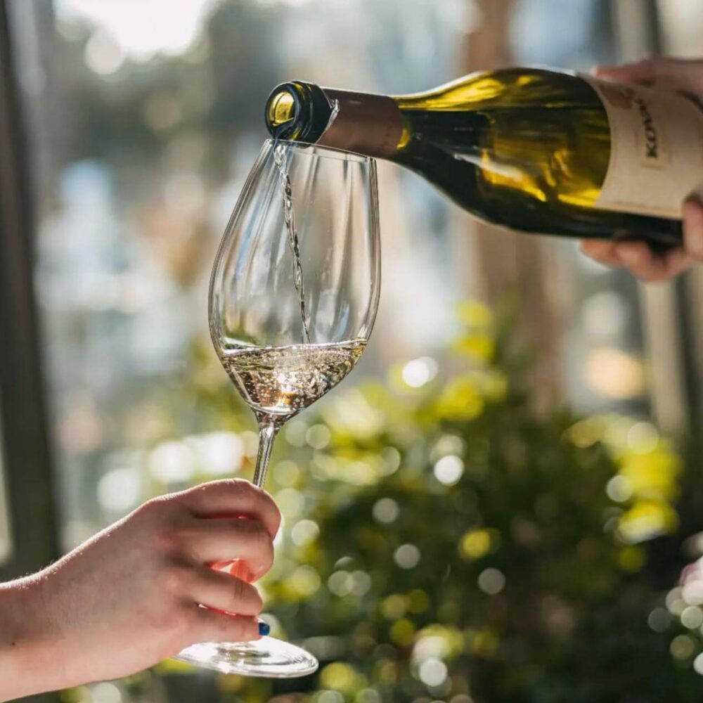 wein von rakija vino wien