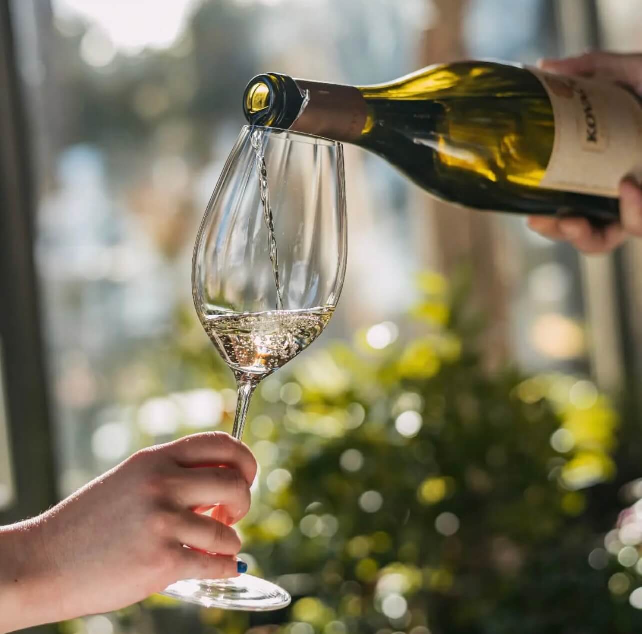 weißwein verkostung rakija vino